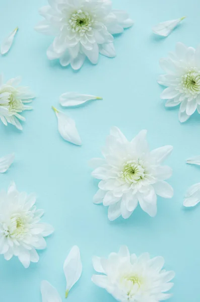 เบญจมาศส ขาวและดอกไม บนพ นหล — ภาพถ่ายสต็อก