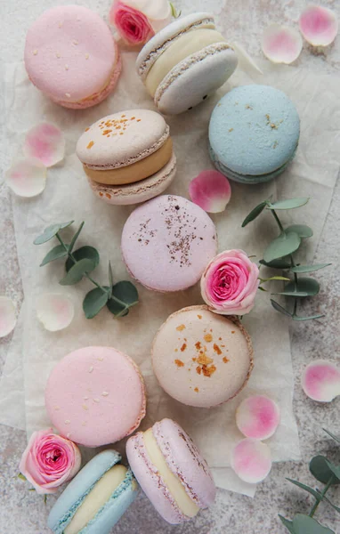 Schöne Bunte Leckere Makronen Und Rosa Rosen Auf Einem Betonhintergrund — Stockfoto