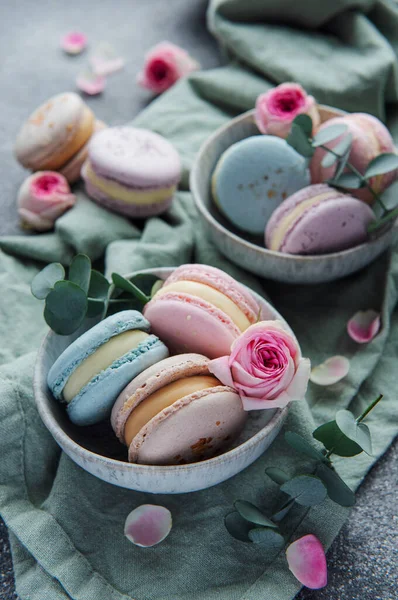 Beautiful Colorful Tasty Macaroons Pink Roses Concrete Background — Stock Photo, Image
