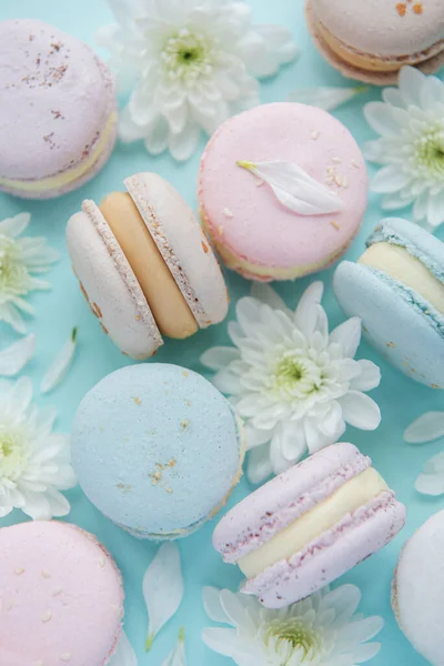 Hermosos Macarrones Sabrosos Coloridos Flores Blancas Sobre Fondo Azul —  Fotos de Stock