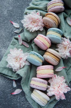 Güzel, renkli, lezzetli kurabiyeler ve beton bir arka planda beyaz çiçekler.