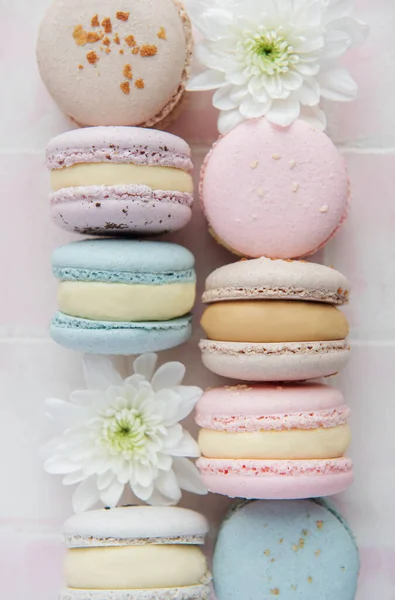 Beautiful Colorful Tasty Macaroons White Flowers Pink Tile Background — Stock Photo, Image