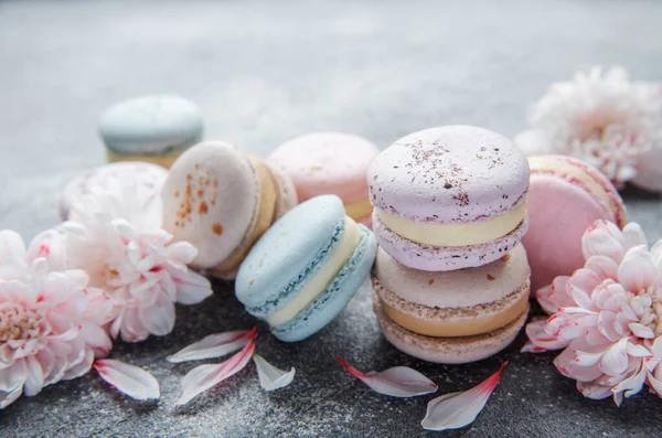 Beaux Macarons Colorés Savoureux Fleurs Blanches Sur Fond Béton — Photo