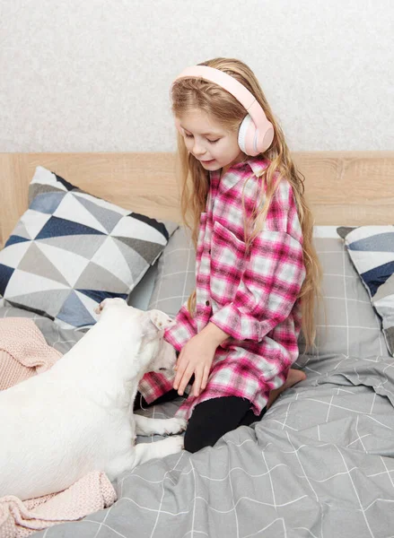 Tyttö Koira Istuu Sohvalla Kuulokkeissa Kuuntelee Musiikkia Älypuhelimellaan — kuvapankkivalokuva