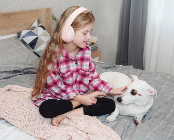 Girl Dog Sitting Couch Headphones Listening Music Her Smarthphone — Stock Photo, Image