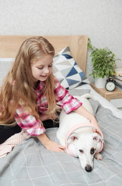 子供の娘と犬 小さな女の子置くヘッドフォンオン彼女の犬 — ストック写真