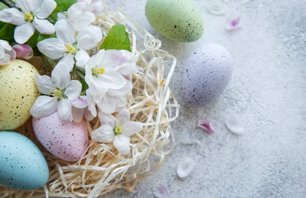 Oversikt Fargerike Østrogn Vårblomst Betongbakgrunn – stockfoto