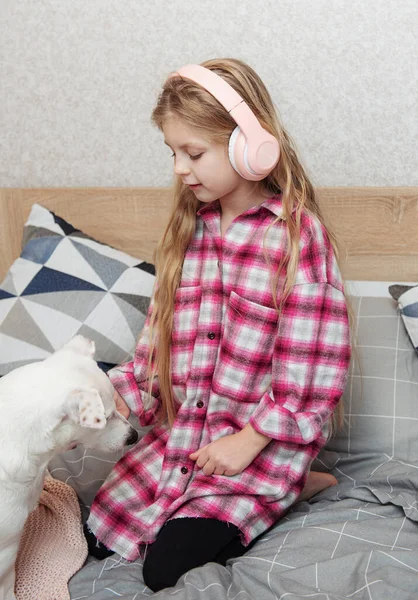 Tyttö Koira Istuu Sohvalla Kuulokkeissa Kuuntelee Musiikkia Älypuhelimellaan — kuvapankkivalokuva