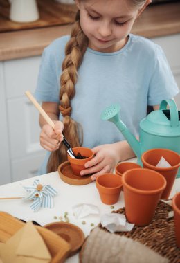 Evdeki masada oturan küçük kız, saksılara tohum ekiyor. Evde bahçe işleri. 