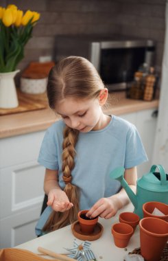 Evdeki masada oturan küçük kız, saksılara tohum ekiyor. Evde bahçe işleri. 