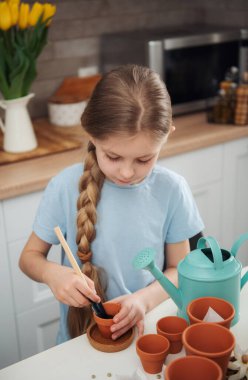 Evdeki masada oturan küçük kız, saksılara tohum ekiyor. Evde bahçe işleri. 