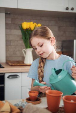 Evdeki masada oturan küçük kız, saksılara tohum ekiyor. Evde bahçe işleri. 