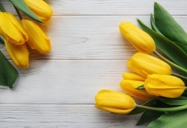 Delicate yellow tulips on white wooden background.  Top view,  space for text, border