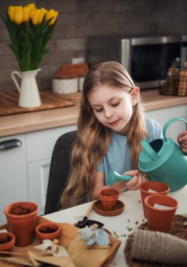 Evdeki masada oturan küçük kız, saksılara tohum ekiyor. Evde bahçe işleri. 