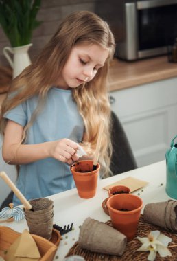 Evdeki masada oturan küçük kız, saksılara tohum ekiyor. Evde bahçe işleri. 