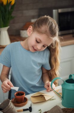 Evdeki masada oturan küçük kız, saksılara tohum ekiyor. Evde bahçe işleri. 