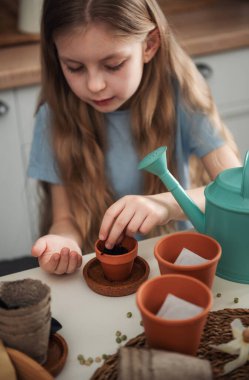 Evdeki masada oturan küçük kız, saksılara tohum ekiyor. Evde bahçe işleri. 