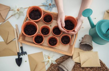 Evdeki masada oturan küçük kız, saksılara tohum ekiyor. Evde bahçe işleri. 