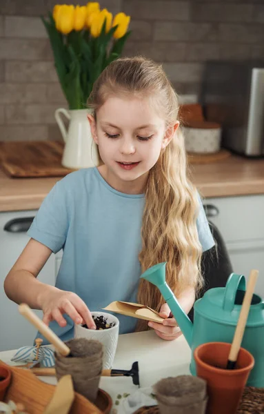 Evdeki masada oturan küçük kız, saksılara tohum ekiyor. Evde bahçe işleri. 