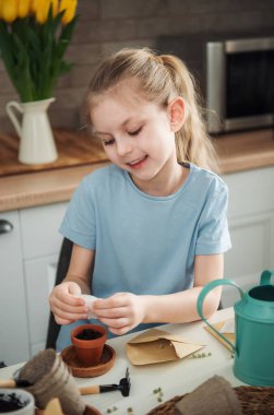 Evdeki masada oturan küçük kız, saksılara tohum ekiyor. Evde bahçe işleri. 
