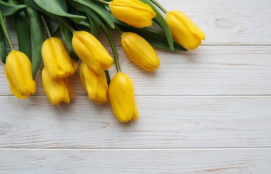 Delicate yellow tulips on white wooden background.  Top view,  space for text, border