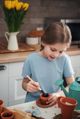 Evdeki masada oturan küçük kız, saksılara tohum ekiyor. Evde bahçe işleri. 