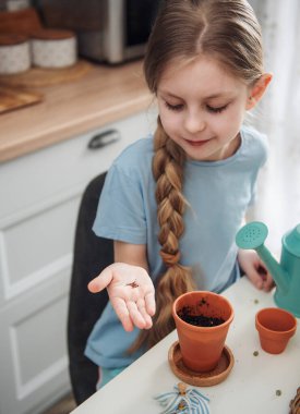 Evdeki masada oturan küçük kız, saksılara tohum ekiyor. Evde bahçe işleri. 