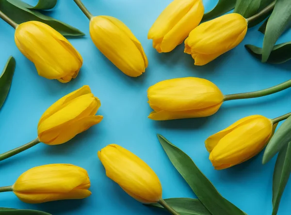 Mavi arka planda güzel sarı laleler.