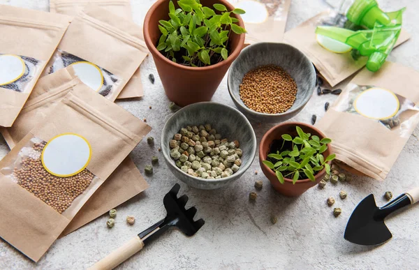 Microgreen Seeds Paper Bags Microgreen Sowing Equipment Table Healthy Food — kuvapankkivalokuva