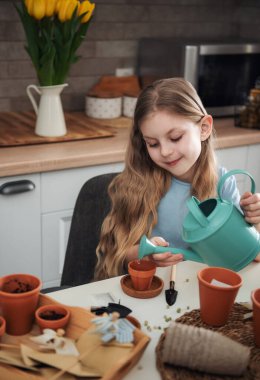 Evdeki masada oturan küçük kız, saksılara tohum ekiyor. Evde bahçe işleri. 