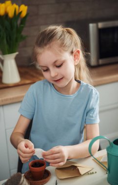 Evdeki masada oturan küçük kız, saksılara tohum ekiyor. Evde bahçe işleri. 