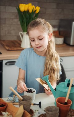 Evdeki masada oturan küçük kız, saksılara tohum ekiyor. Evde bahçe işleri. 