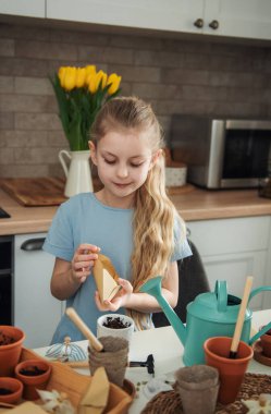 Evdeki masada oturan küçük kız, saksılara tohum ekiyor. Evde bahçe işleri. 