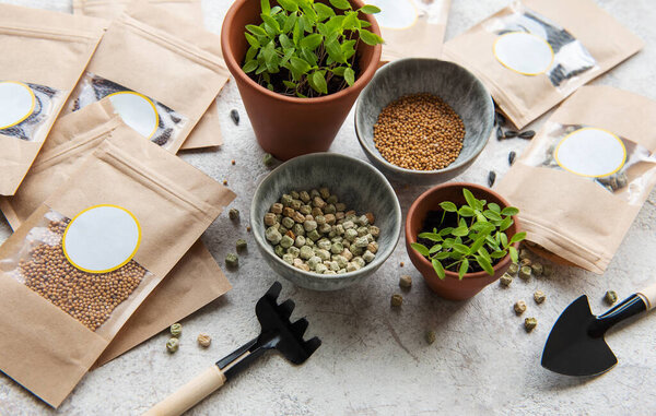 Microgreen seeds in paper bags and microgreen sowing equipment on the table. Healthy food.