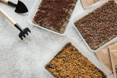 Kağıt torbalarda mikroyeşil tohumlar ve masada mikroyeşil ekme ekipmanları. Sağlıklı yemek..