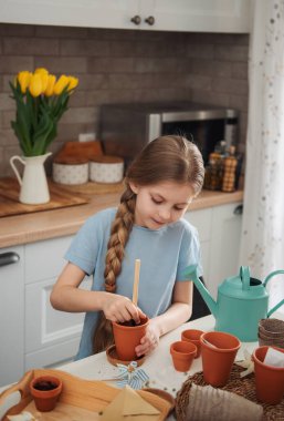 Evdeki masada oturan küçük kız, saksılara tohum ekiyor. Evde bahçe işleri. 