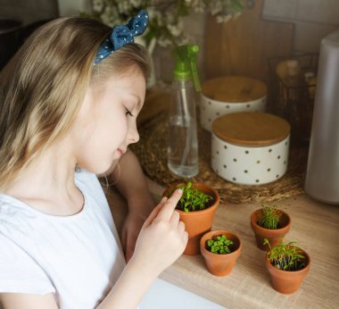 Küçük kız mutfağında oturuyor ve elinde fidelerle bekliyor.
