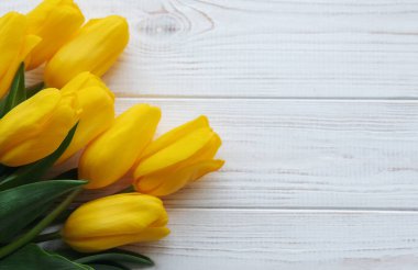 Delicate yellow tulips on white wooden background.  Top view,  space for text, border