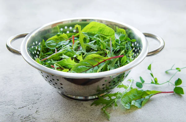 Mix Fresh Green Salad Leaves Arugula Beets Colander Gray Concrete — Stock Photo, Image
