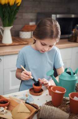 Evdeki masada oturan küçük kız, saksılara tohum ekiyor. Evde bahçe işleri. 