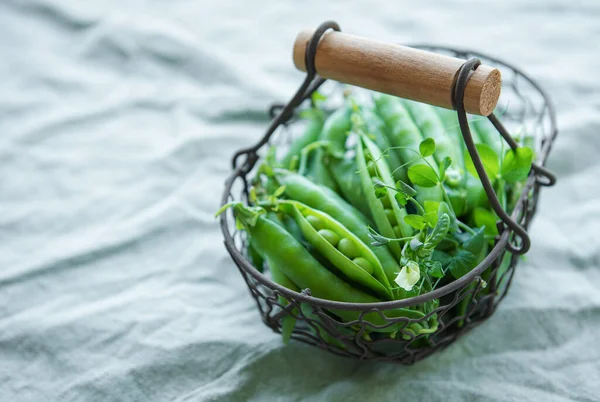 Basket with young fresh juicy pods of green peas on a green textile background. Healthy organic food.