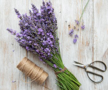 Mevsimlik lavanta budanması. Bir demet kesilmiş lavanta ve makas. Bahçe konsepti