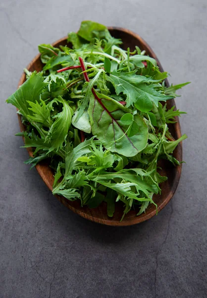 Mix Fresh Green Salad Leaves Arugula Beets Plate Dark Concrete — Stok fotoğraf