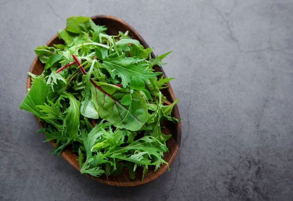 Mix Fresh Green Salad Leaves Arugula Beets Plate Dark Concrete — Stockfoto