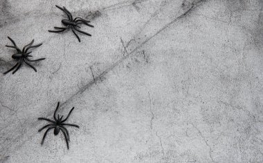 Halloween holiday background with  decorations.  Halloween background with spider web and spiders as symbols of Halloween. View from above. Flat lay