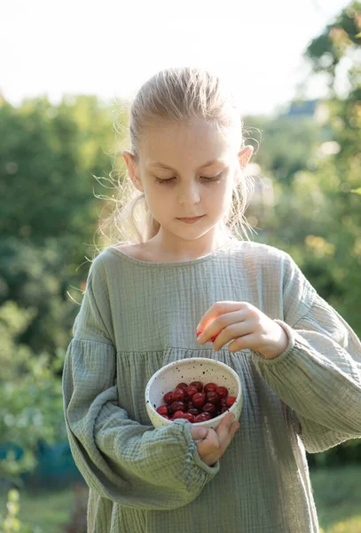 Liten Jente Som Plukker Kirsebærbær Hagen – stockfoto