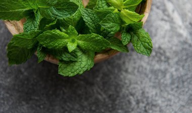 Koyu beton arkaplanda taze nane yapraklarının yakın görüntüsü