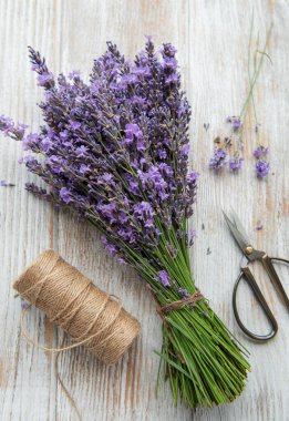 Mevsimlik lavanta budanması. Bir demet kesilmiş lavanta ve makas. Bahçe konsepti