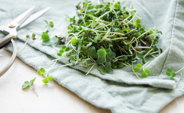 Tuore Orgaaninen Retiisi Mikro Vihreä Tekstiilitaustalla — kuvapankkivalokuva