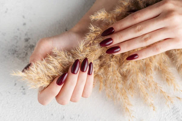 Belas Mãos Uma Jovem Mulher Com Manicure Vermelho Escuro Pregos — Fotografia de Stock